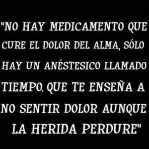 Meet your Posher, Betty